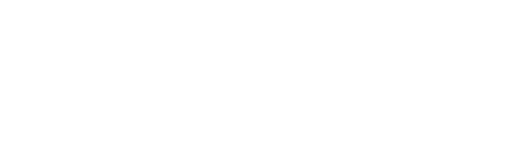 Synk
