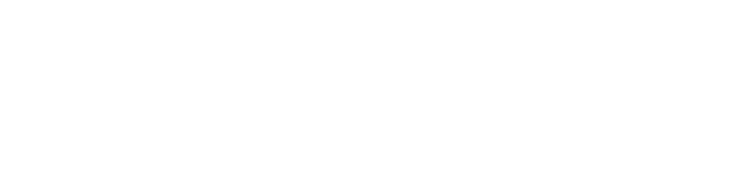 Witte Automotive